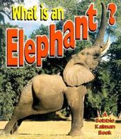 What Is an Elephant?