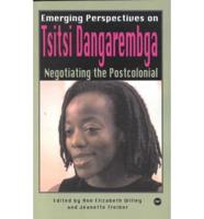 Negotiating the Postcolonial