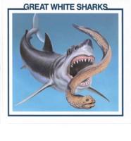 Great White Sharks