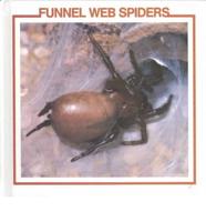 Funnel Web Spiders