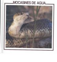 Mocasines De Agua