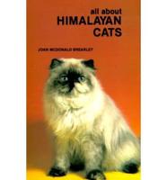 All About Himalayan Cats