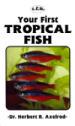 Your First Tropical Fish