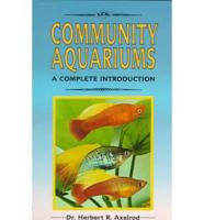 A Complete Guide to Community Aquariums