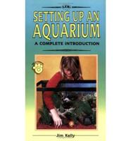 A Complete Introduction to Setting Up an Aquarium