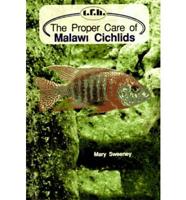 The Proper Care of Malawi Cichlids