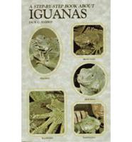 A Step-by-Step Book About Iguanas