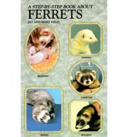 A Step-by-Step Book About Ferrets