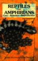 Reptiles and Amphibians Care, Behavior and Reproduction