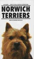 Norwich Terriers