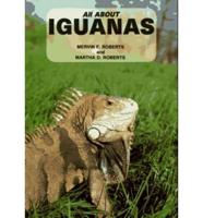 All About Iguanas