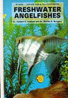Freshwater Angelfish
