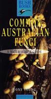 Common Australian Fungi