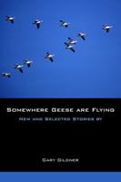 Somewhere Geese Are Flying