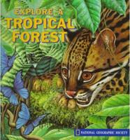 Explore a Tropical Forest