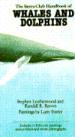 The Sierra Club Handbook of Whales and Dolphins