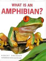 What Is an Amphibian?