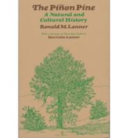 The Piñon Pine
