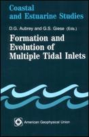Formation and Evolution of Multiple Tidal Inlets