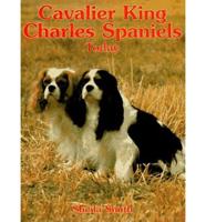 Cavalier King Charles Spaniels Today
