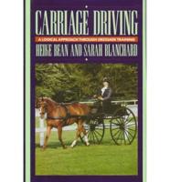 Carriage Driving