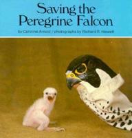 Saving the Peregrine Falcon