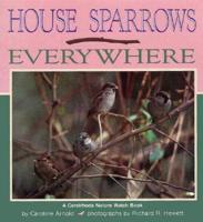 House Sparrows Everywhere