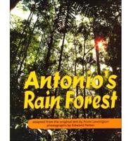 Antonio's Rain Forest