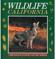 Wildlife California
