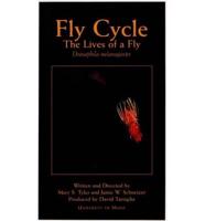 Fly Cycle