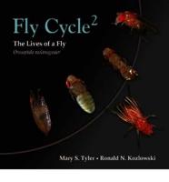 Fly Cycle 2