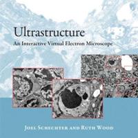 Ultrastructure