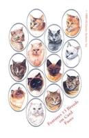 Cat Lovers Playing Card Deck