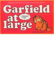 Garfield At Large