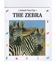 The Zebra, Striped Horse