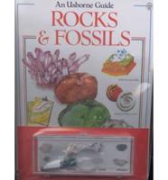 Rocks and Fossils