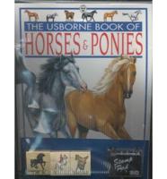 The Usborne Book of Horses & Ponies