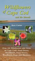 Wildflowers of Cape Cod & The Islands