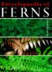 Encyclopaedia of Ferns