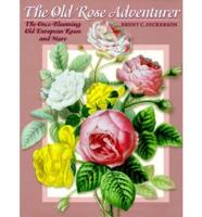 The Old Rose Adventurer