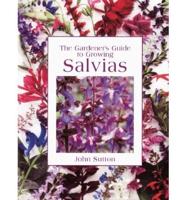 The Gardener's Guide to Growing Salvias