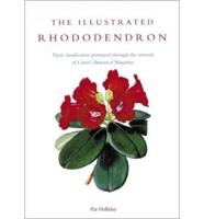 The Illustrated Rhododendron