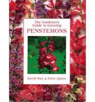 The Gardener's Guide to Growing Penstemons
