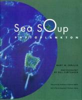 Sea Soup