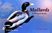 Mallards