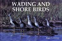 Wading and Shore Birds