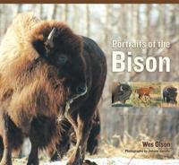 Portraits of the Bison