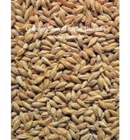 Compendium of Barley Diseases