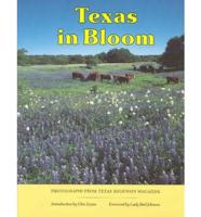 Texas in Bloom
