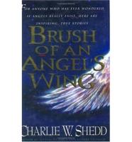 Brush of an Angel's Wing